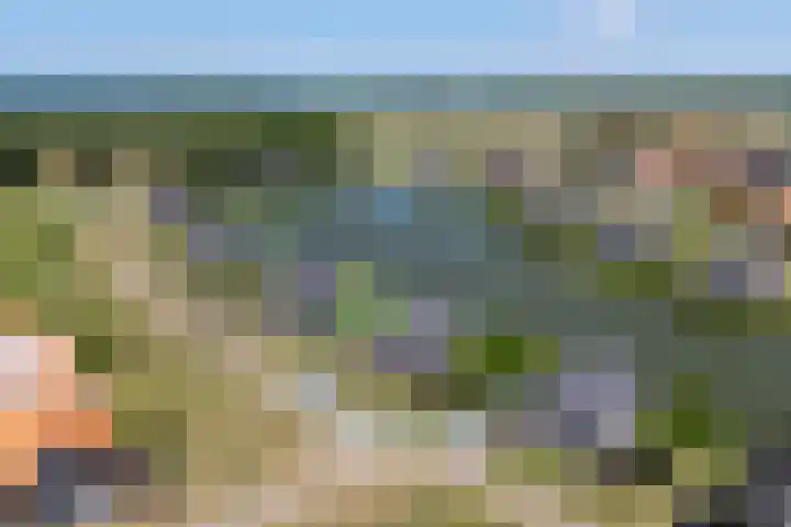 Baanstpoldersedijk 4 112 Nieuwvliet thumbnail 9