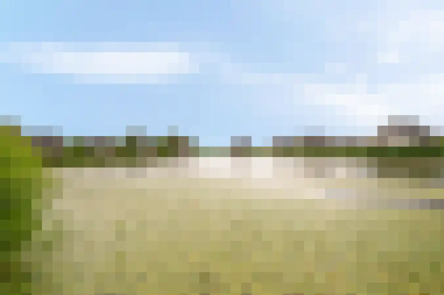 Baanstpoldersedijk 4 113 Nieuwvliet thumbnail 29