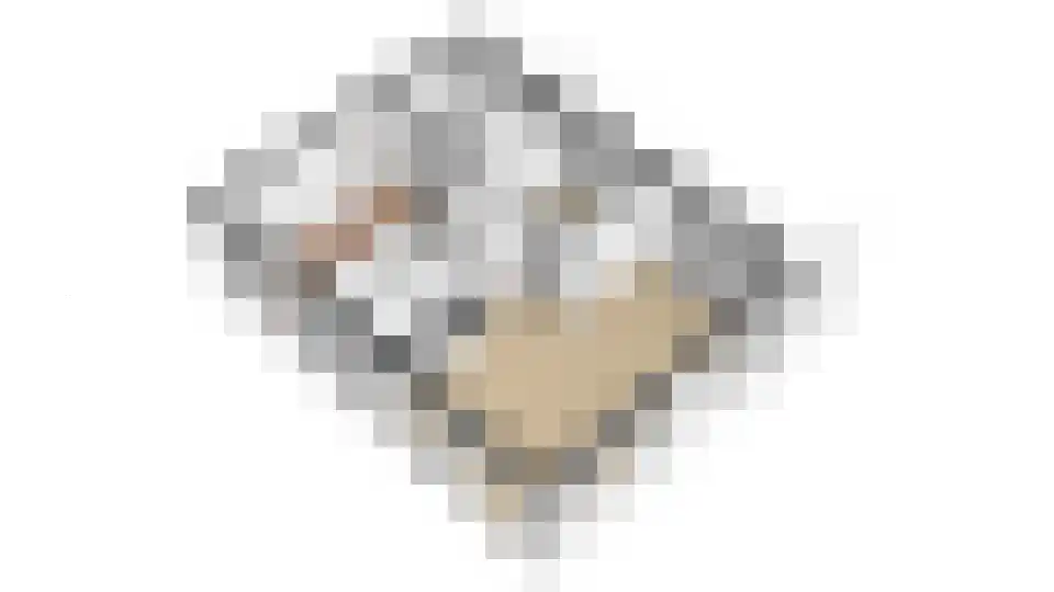 Baanstpoldersedijk 4 113 Nieuwvliet thumbnail 31