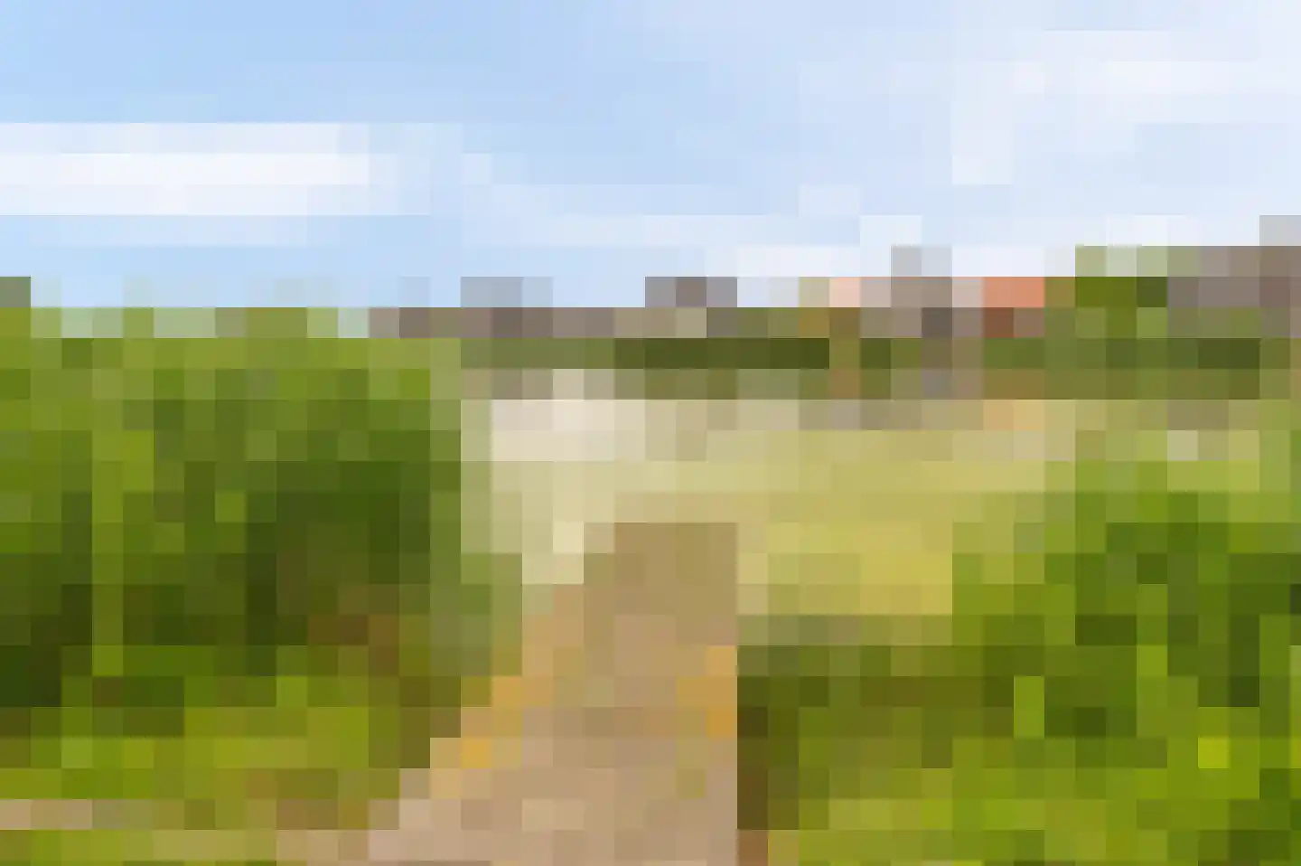 Baanstpoldersedijk 4 113 Nieuwvliet thumbnail 5