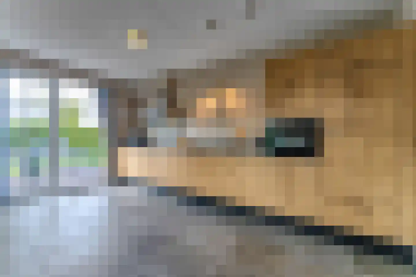 Baanstpoldersedijk 4 219 Nieuwvliet thumbnail 11