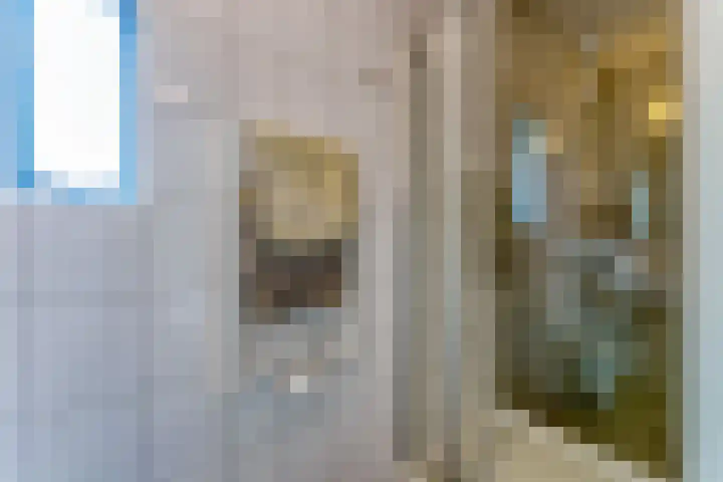 Baanstpoldersedijk 4 219 Nieuwvliet thumbnail 14