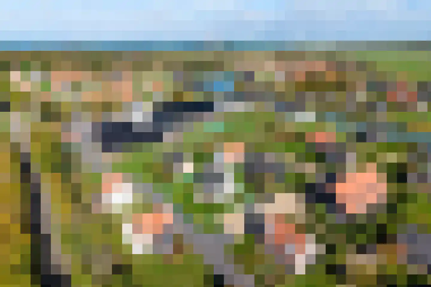 Baanstpoldersedijk 4 219 Nieuwvliet thumbnail 5