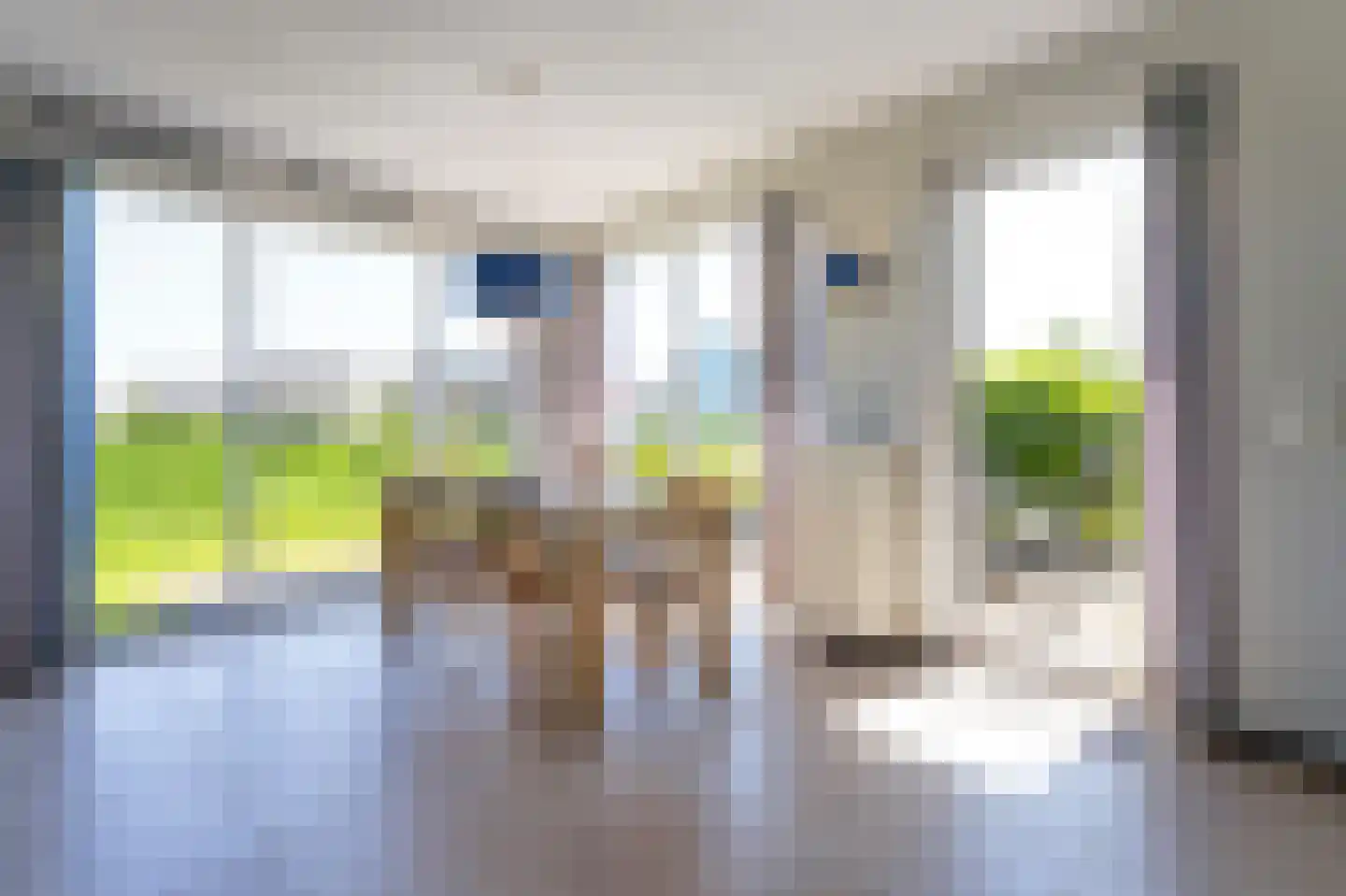 Baanstpoldersedijk 4 231 Nieuwvliet thumbnail 10