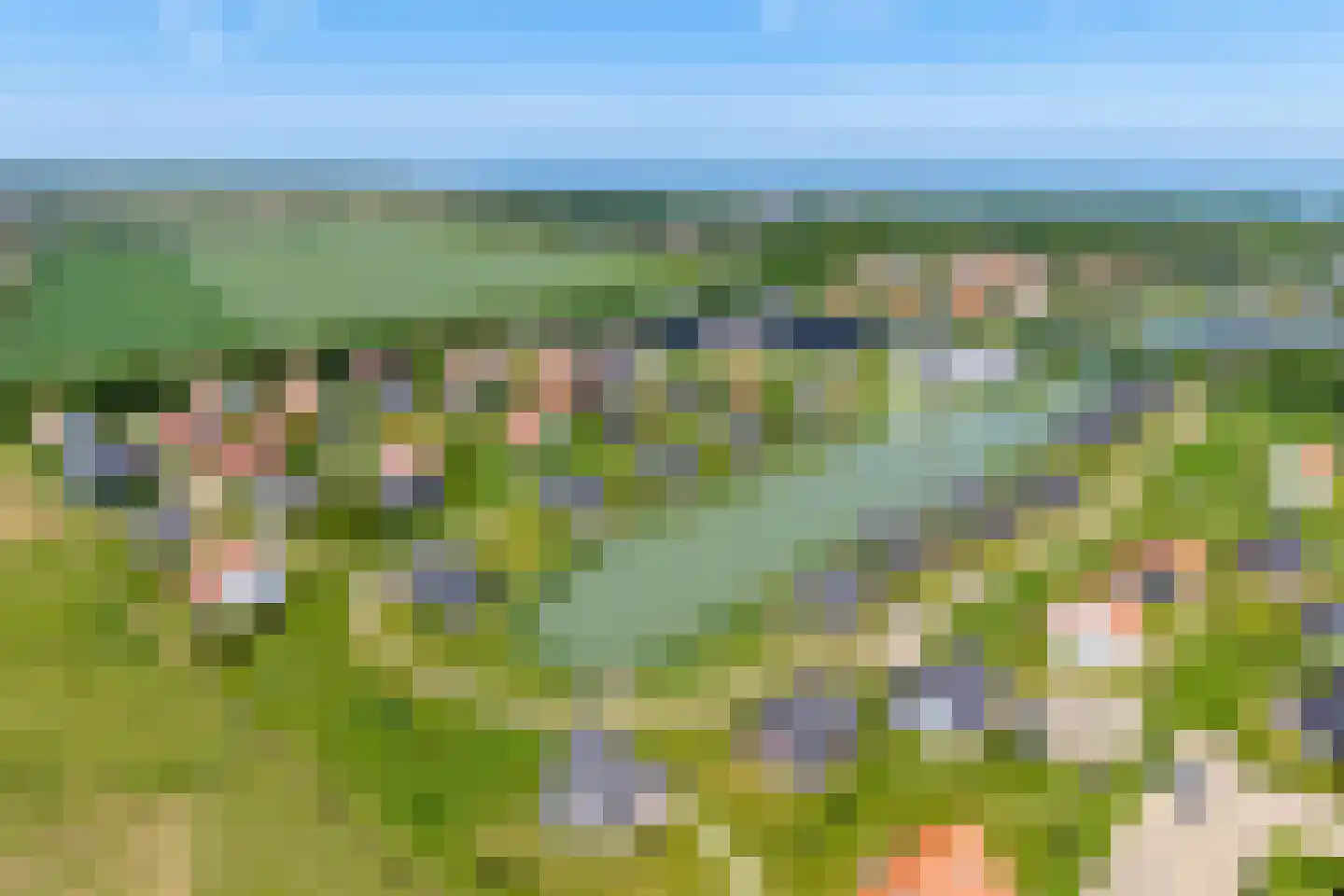Baanstpoldersedijk 4 231 Nieuwvliet thumbnail 23