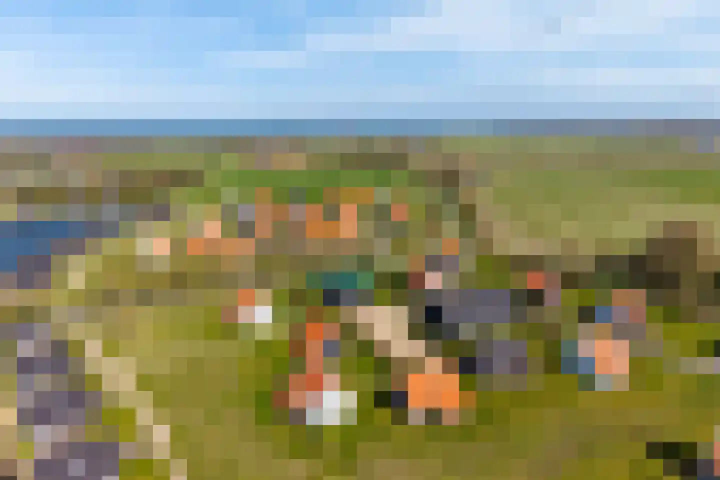 Baanstpoldersedijk 4 412 Nieuwvliet thumbnail 18