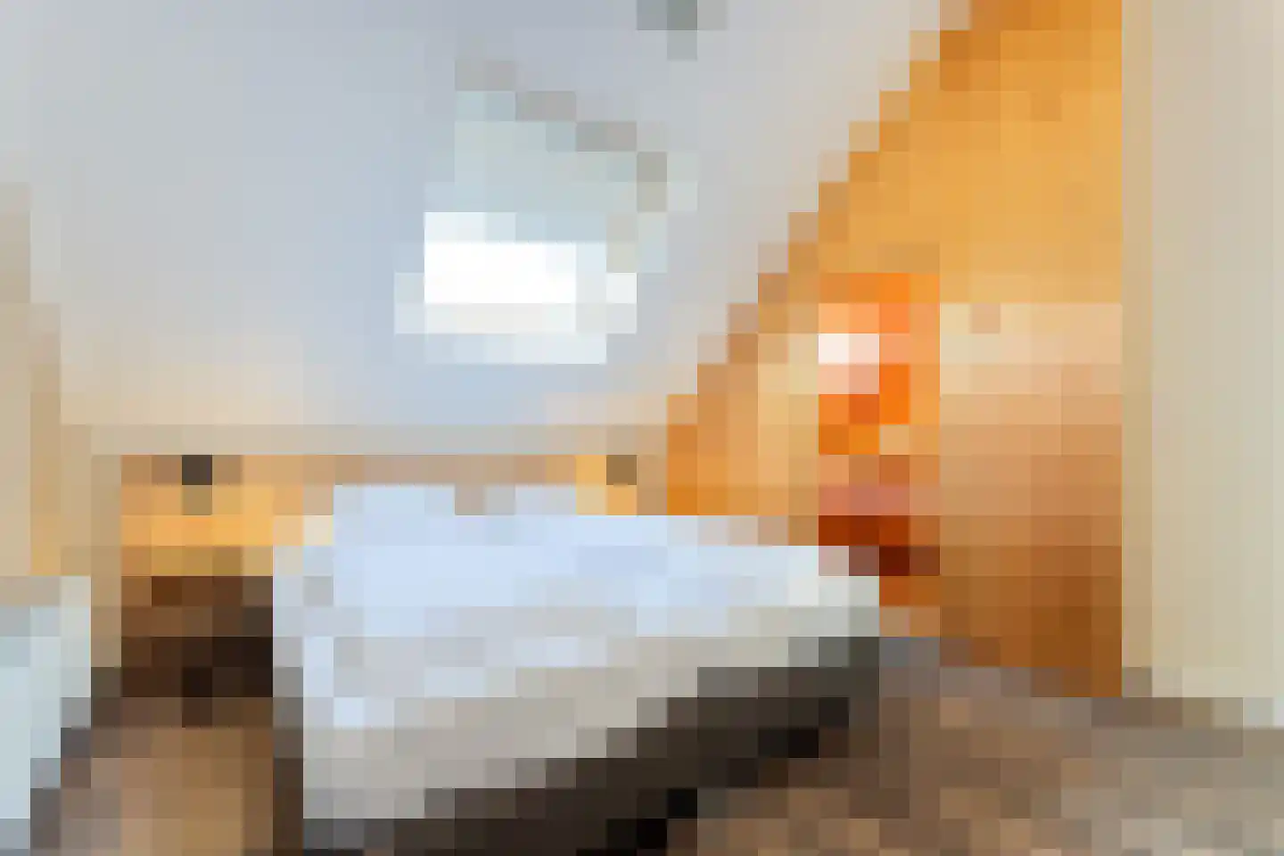 Baanstpoldersedijk 4 412 Nieuwvliet thumbnail 4