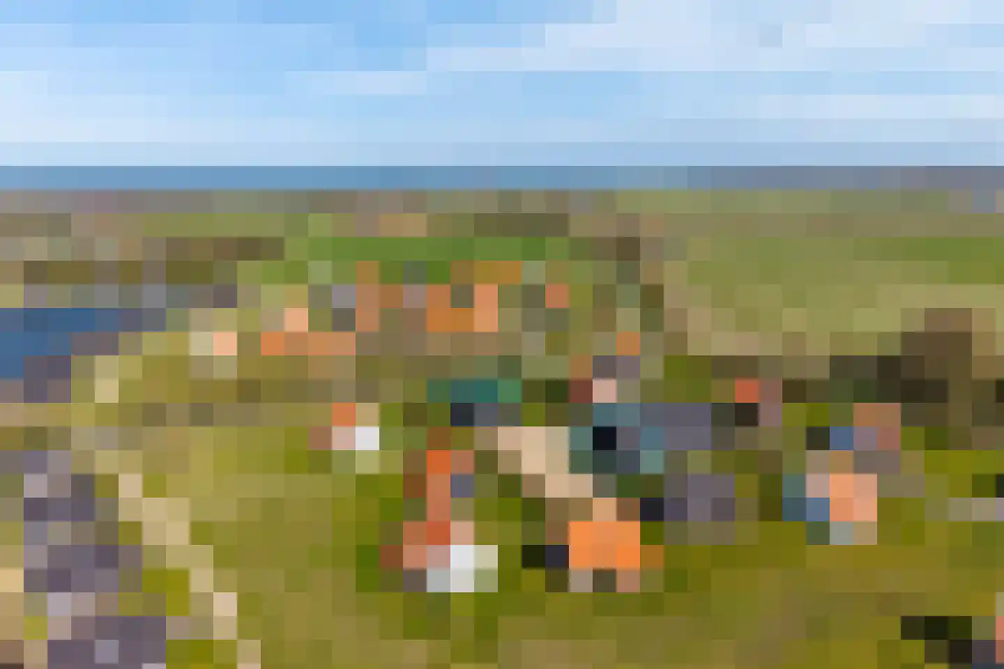 Baanstpoldersedijk 4 412 Nieuwvliet thumbnail 5