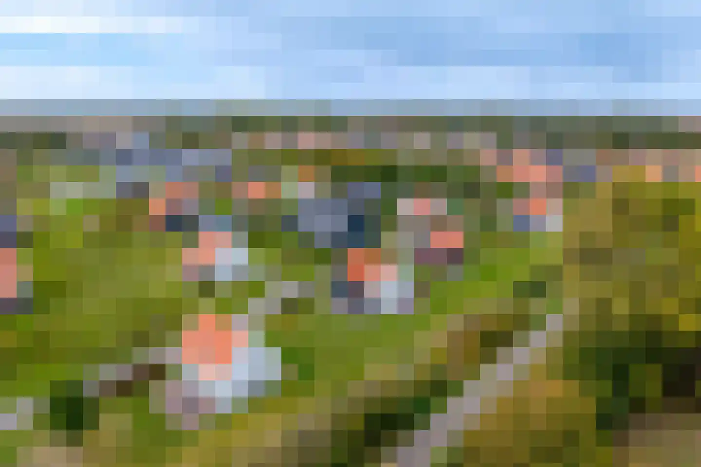 Baanstpoldersedijk 4 417 Nieuwvliet thumbnail 28