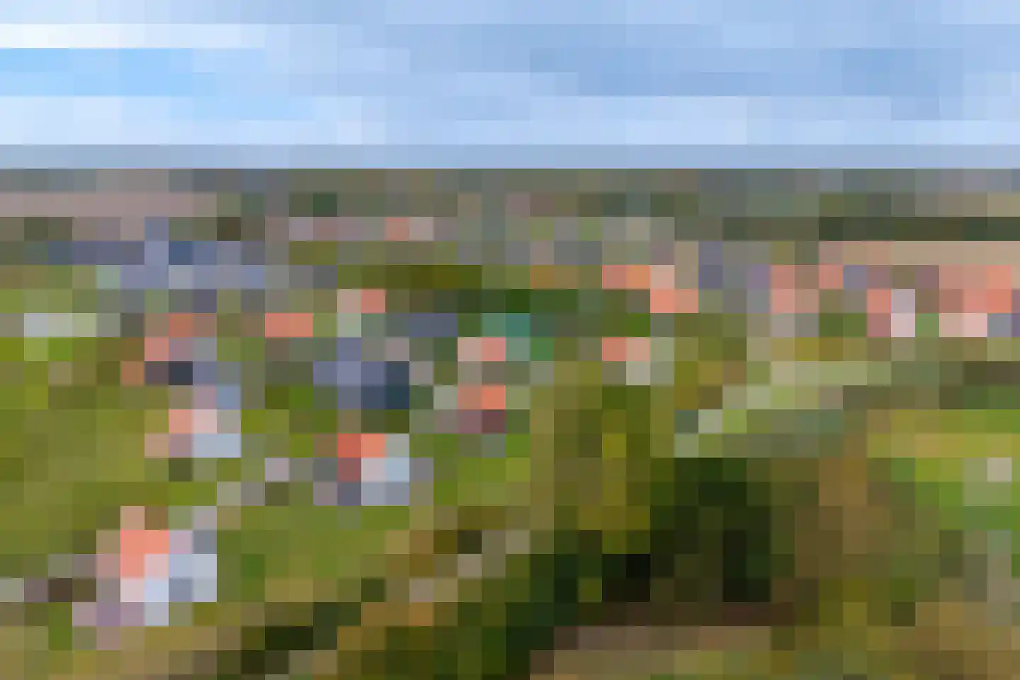 Baanstpoldersedijk 4 417 Nieuwvliet thumbnail 29