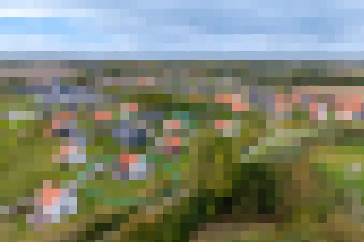 Baanstpoldersedijk 4 417 Nieuwvliet thumbnail 30