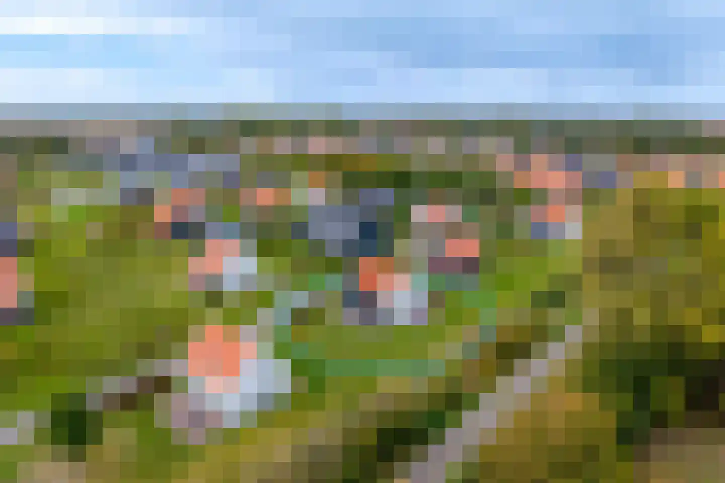 Baanstpoldersedijk 4 417 Nieuwvliet thumbnail 8