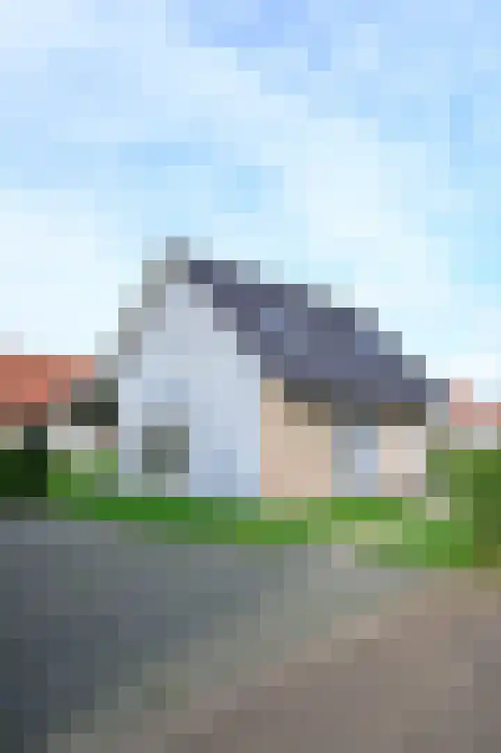Baanstpoldersedijk 4 424 Nieuwvliet thumbnail 33