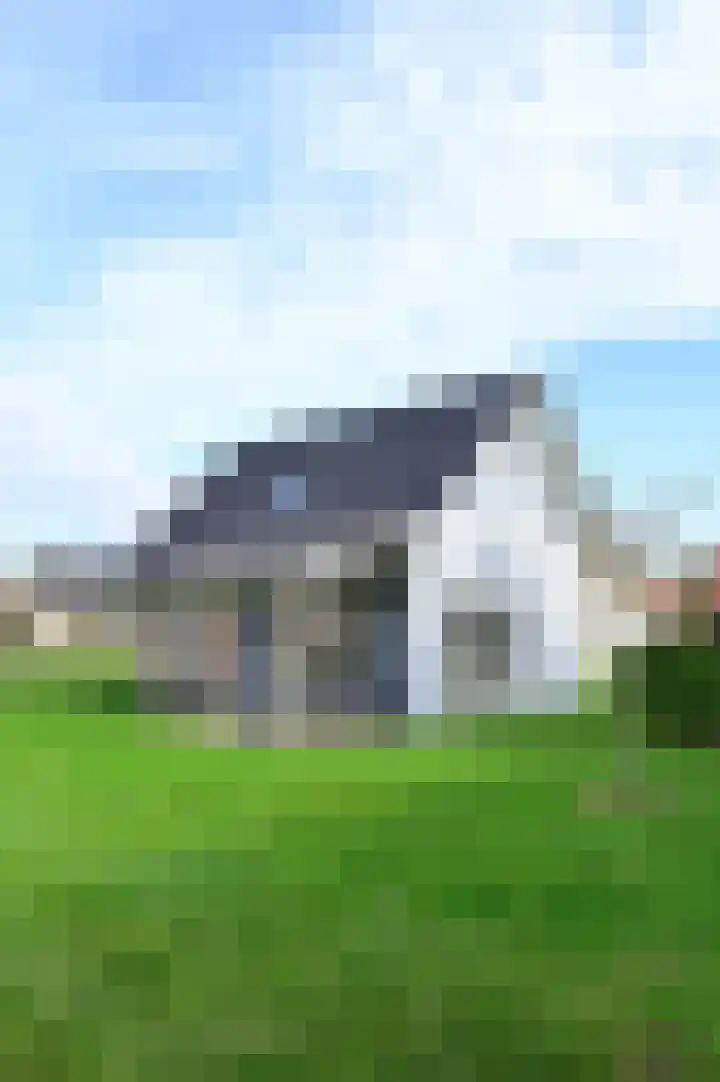Baanstpoldersedijk 4 424 Nieuwvliet thumbnail 35