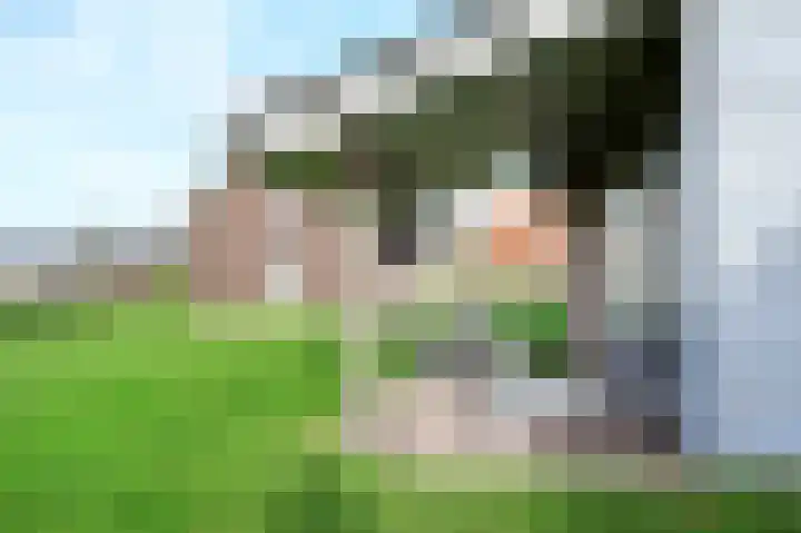 Baanstpoldersedijk 4 424 Nieuwvliet thumbnail 37