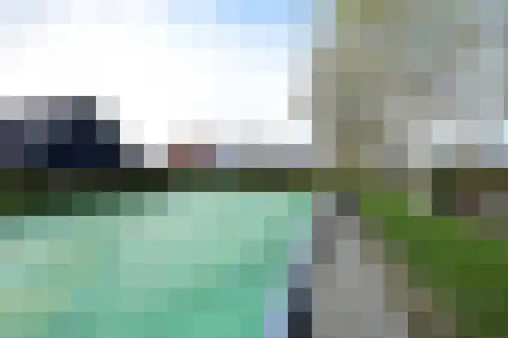 Baanstpoldersedijk 4 424 Nieuwvliet thumbnail 39