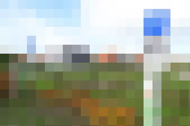 Baanstpoldersedijk 4 424 Nieuwvliet thumbnail 41