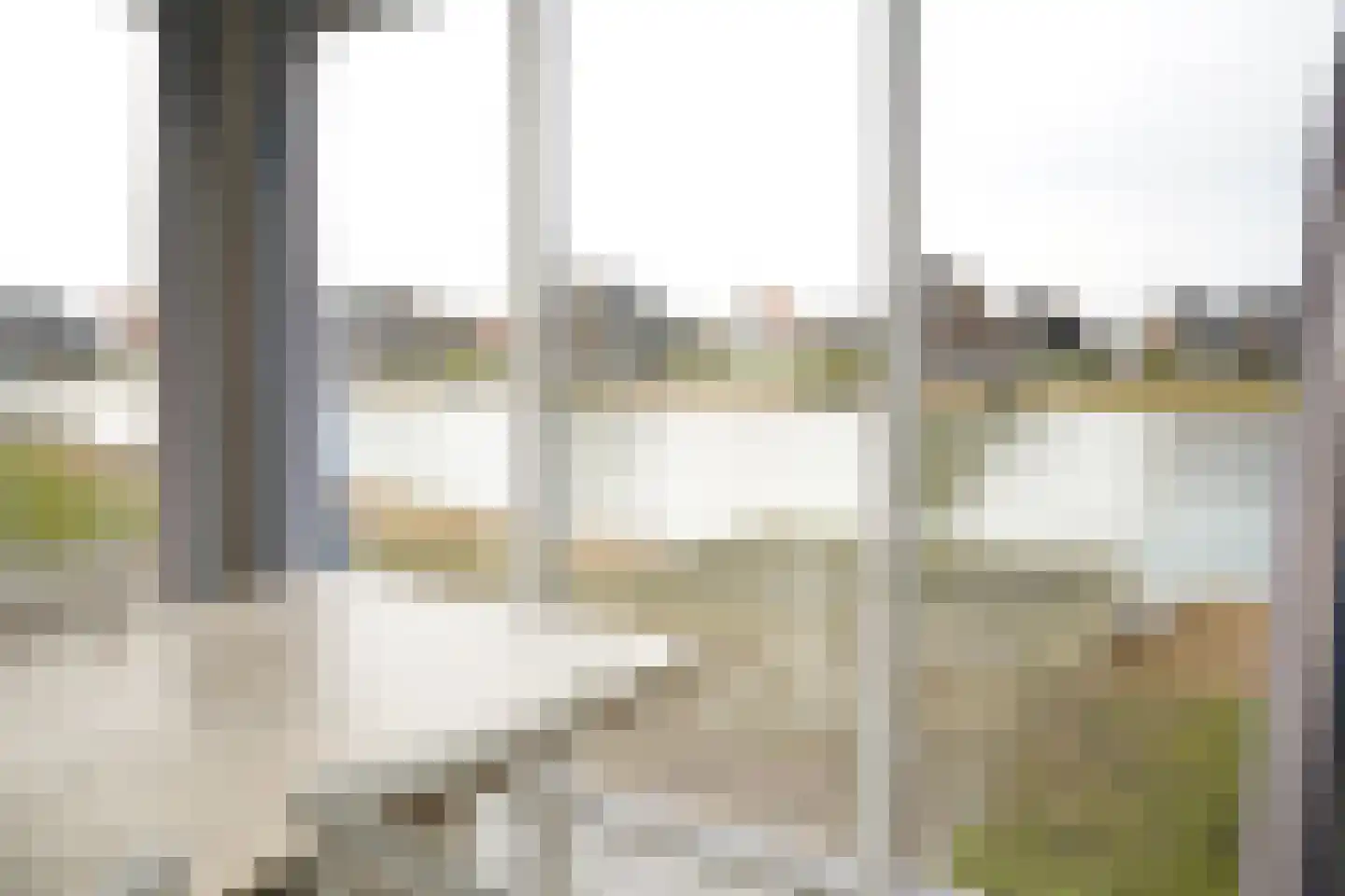 Baanstpoldersedijk 4 429 Nieuwvliet thumbnail 9