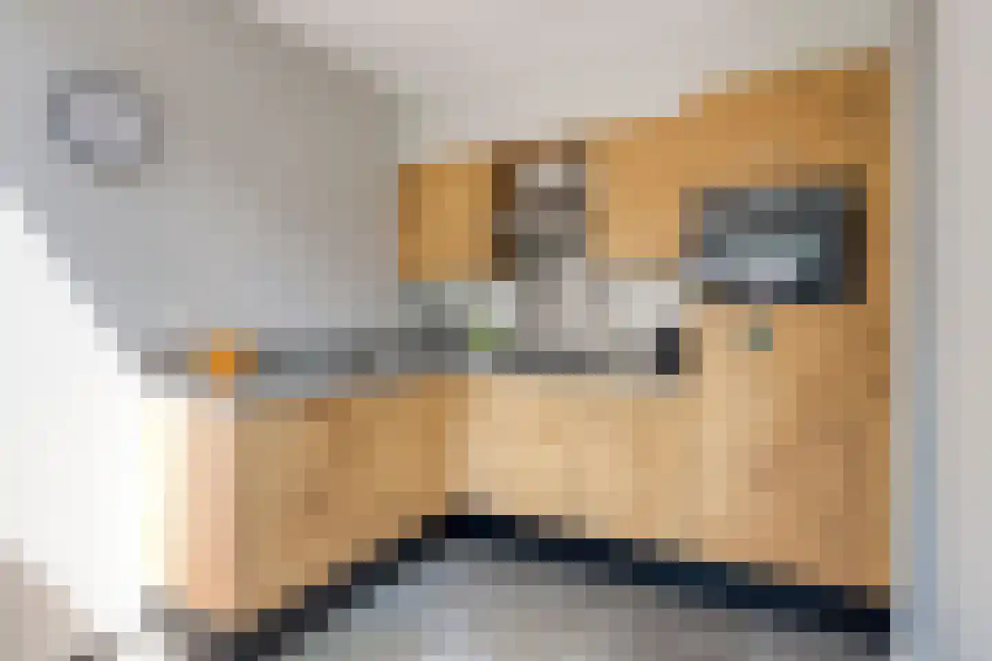 Baanstpoldersedijk 4 442 Nieuwvliet thumbnail 10