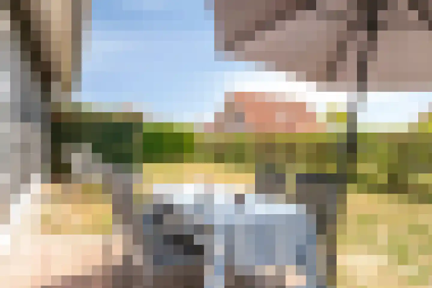 Baanstpoldersedijk 4 442 Nieuwvliet thumbnail 29