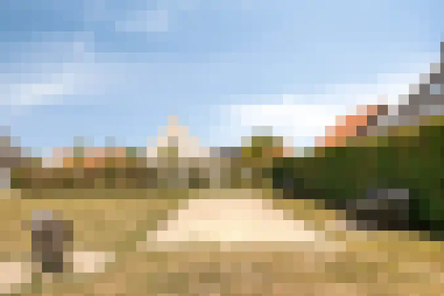 Baanstpoldersedijk 4 442 Nieuwvliet thumbnail 32