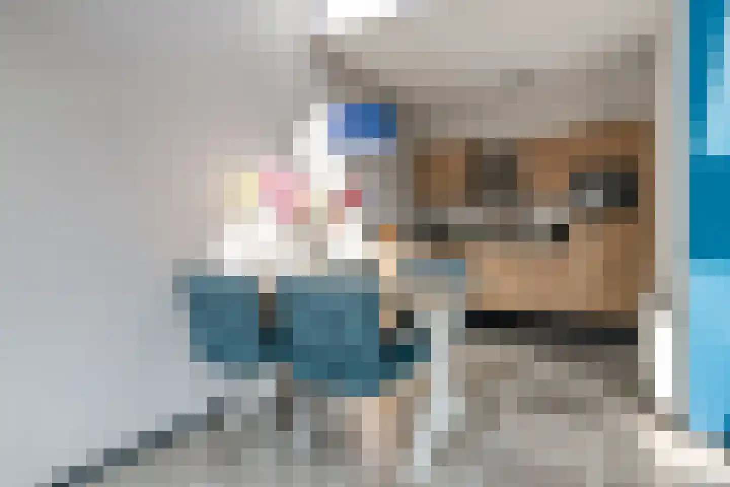 Baanstpoldersedijk 4 442 Nieuwvliet thumbnail 8
