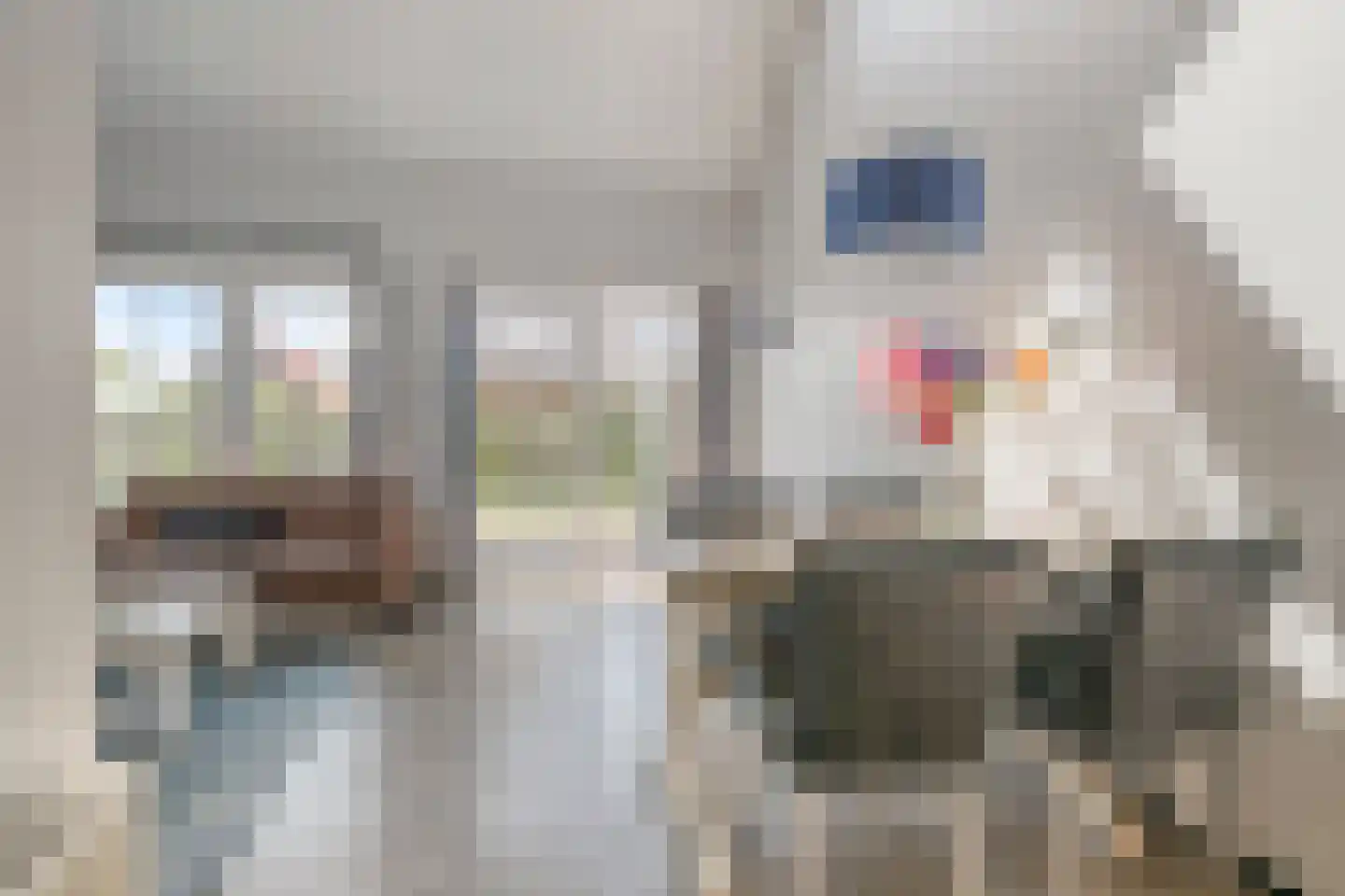 Baanstpoldersedijk 4 442 Nieuwvliet thumbnail 9