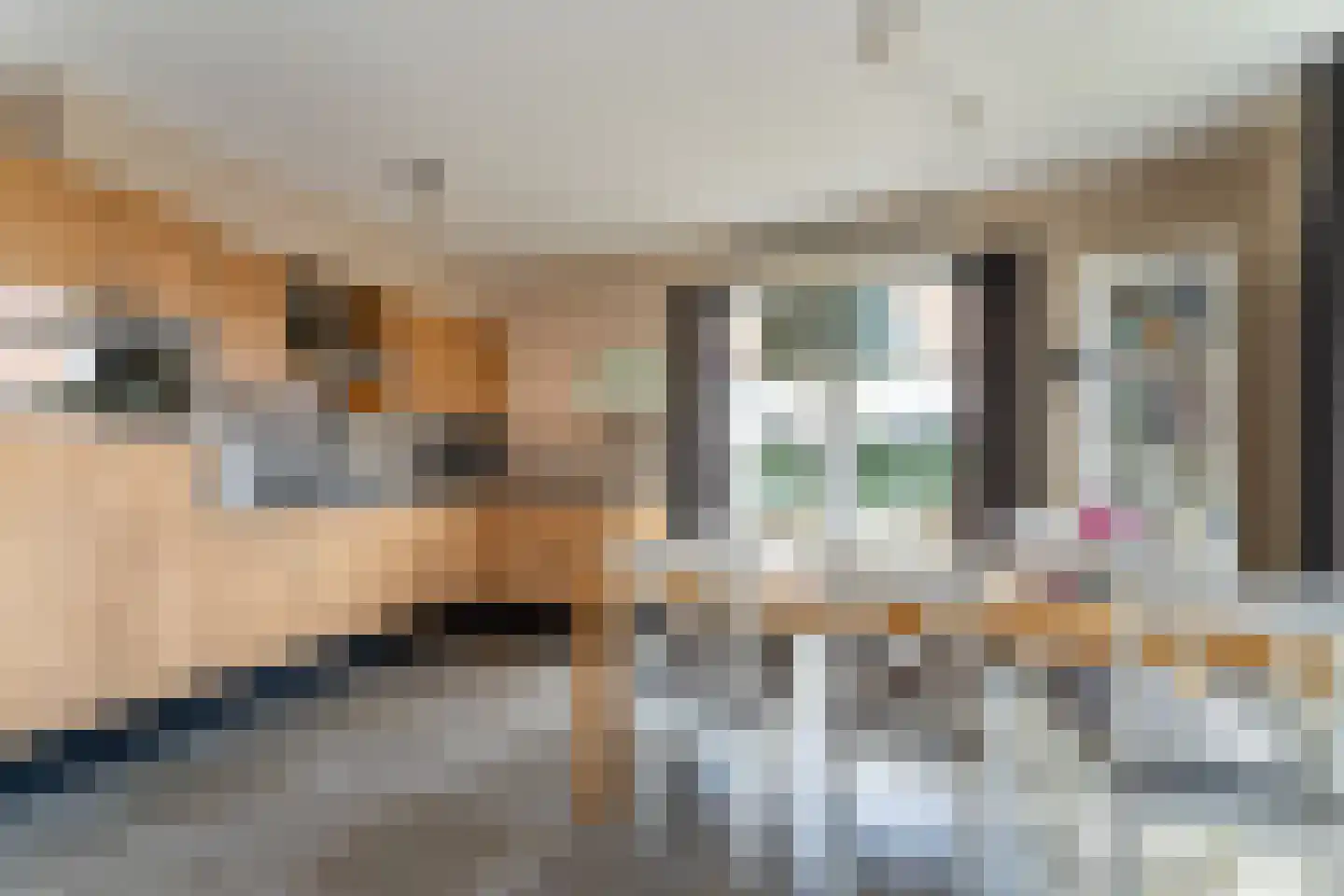 Baanstpoldersedijk 4 445 Nieuwvliet thumbnail 11