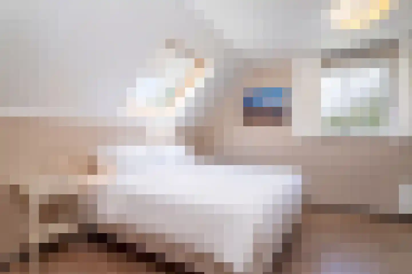 Baanstpoldersedijk 4 445 Nieuwvliet thumbnail 17