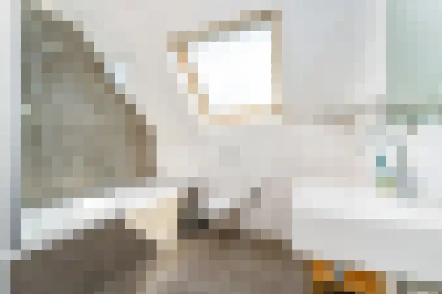 Baanstpoldersedijk 4 445 Nieuwvliet thumbnail 22
