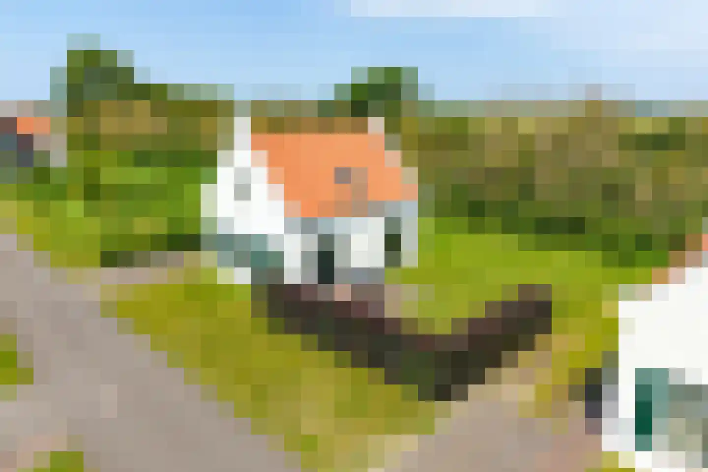 Baanstpoldersedijk 4 445 Nieuwvliet thumbnail 23