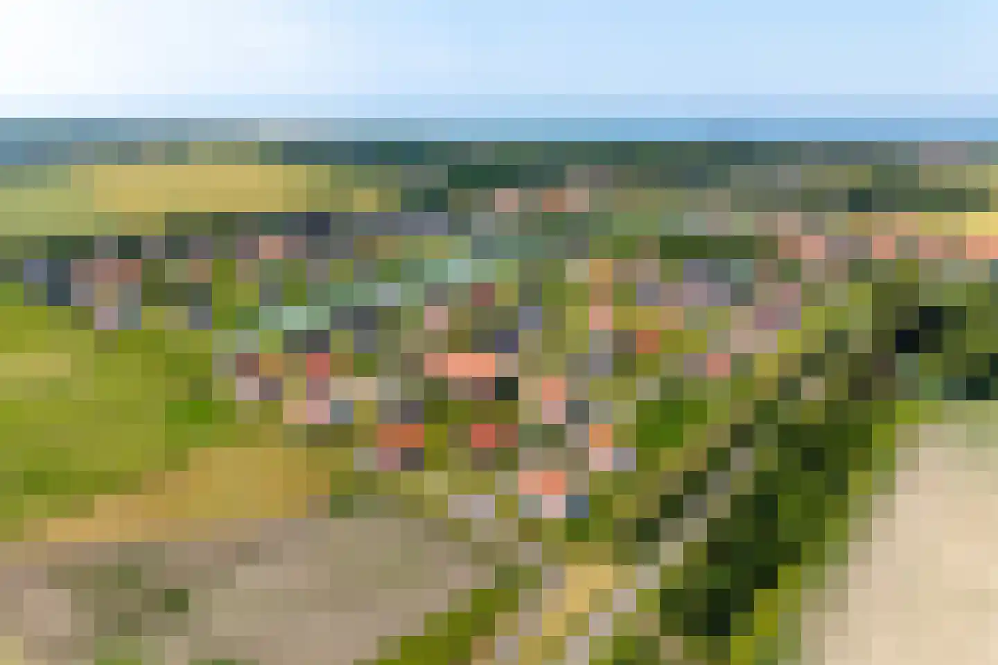 Baanstpoldersedijk 4 445 Nieuwvliet thumbnail 25