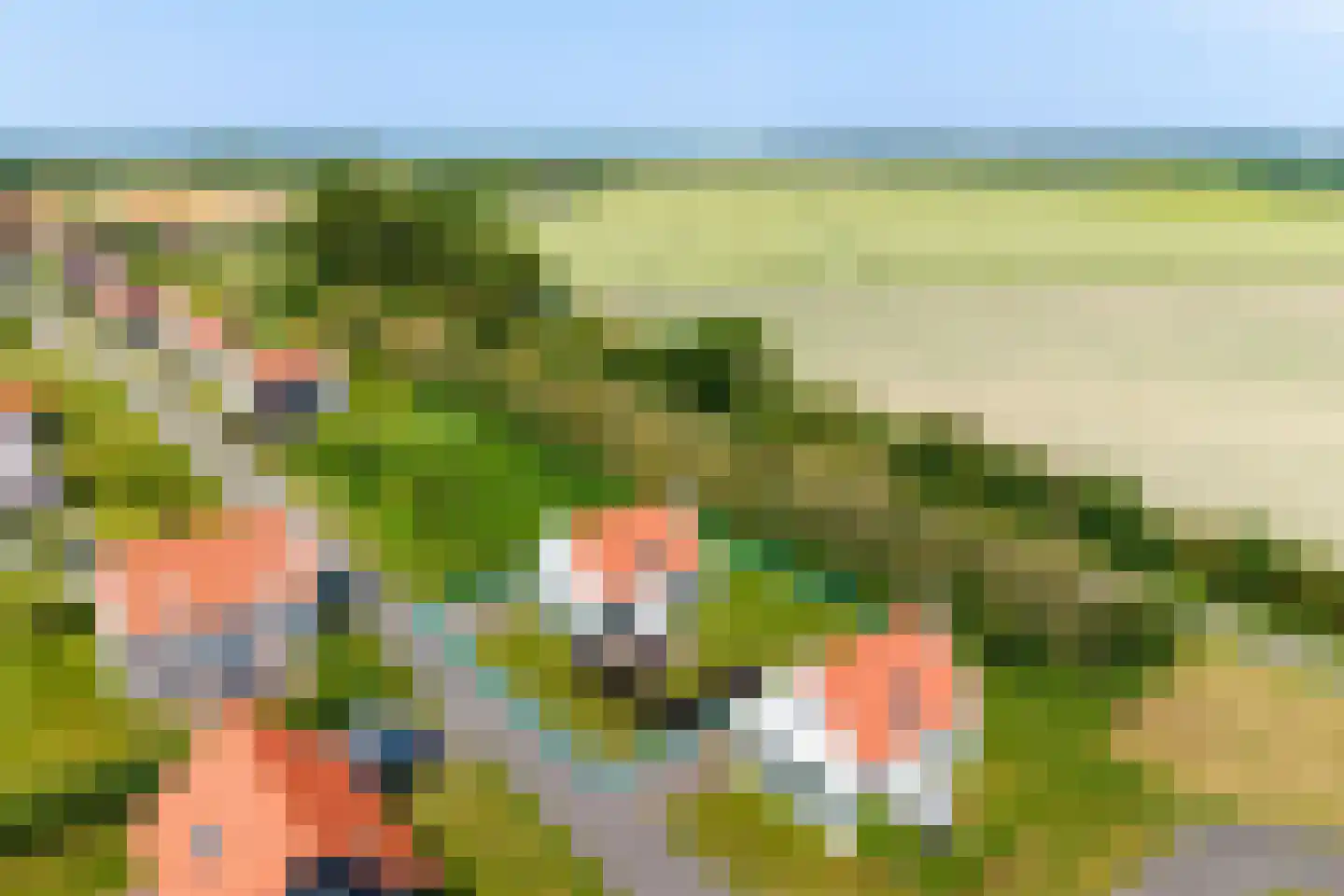 Baanstpoldersedijk 4 445 Nieuwvliet thumbnail 4