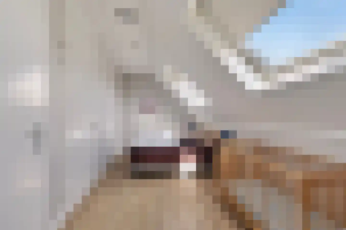 Baanstpoldersedijk 4 504 Nieuwvliet thumbnail 10