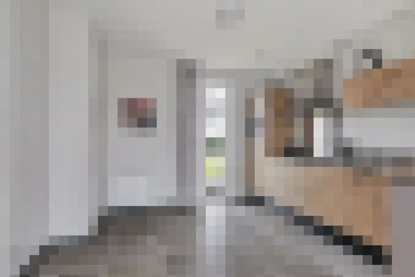 Baanstpoldersedijk 4 504 Nieuwvliet thumbnail 4