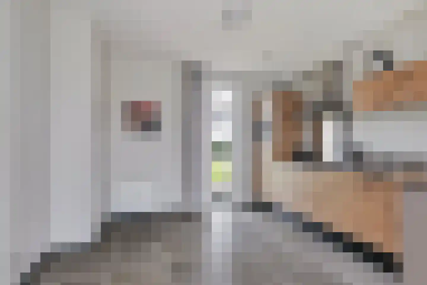 Baanstpoldersedijk 4 508 Nieuwvliet thumbnail 4