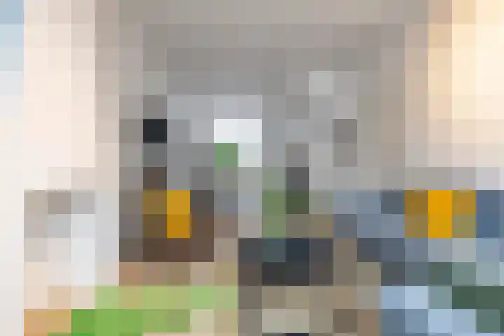 Baanstraat 13 Groningen thumbnail 13