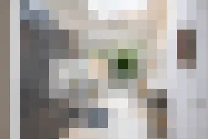 Baanstraat 13 Groningen thumbnail 15