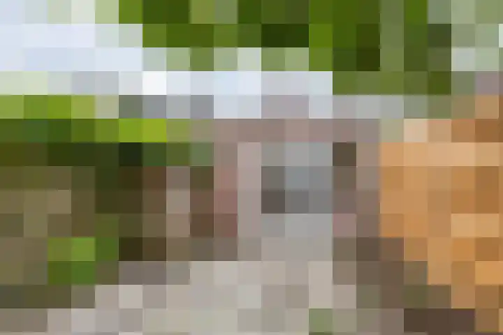 Baanstraat 13 Groningen thumbnail 21