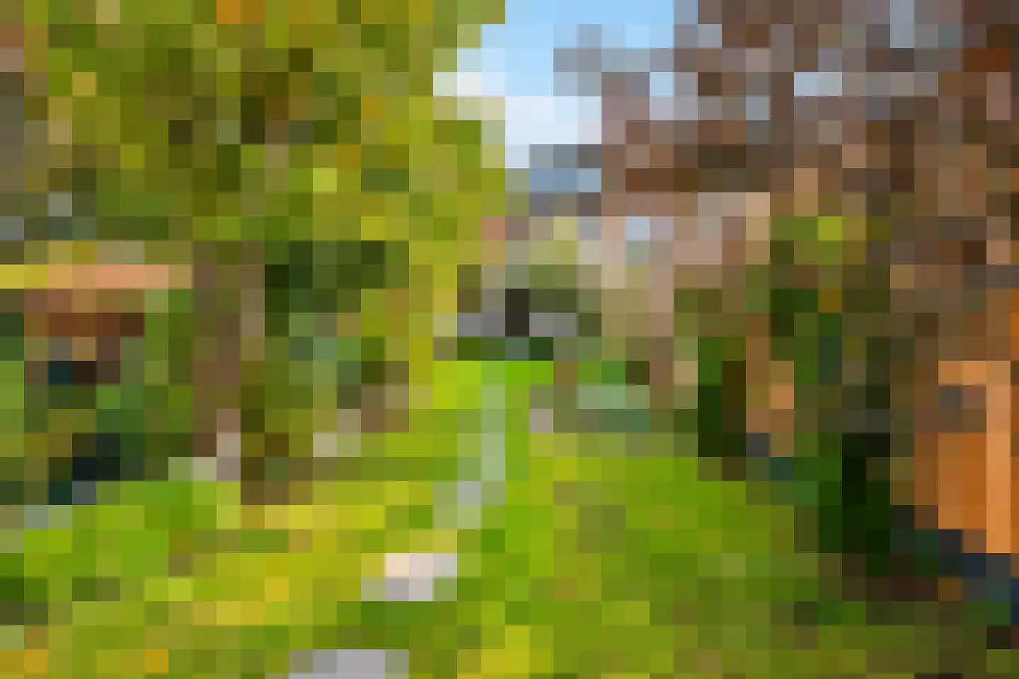 Baanstraat 154 Landgraaf thumbnail 29