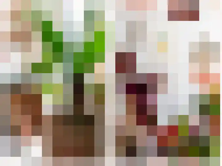Baanstraat 16 B Utrecht thumbnail 7