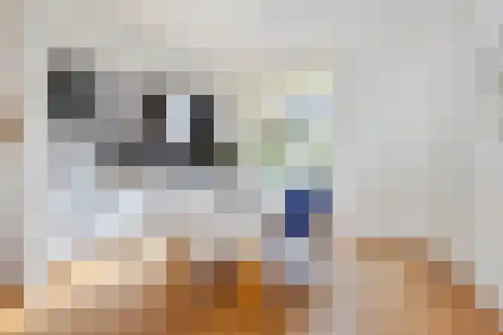 Baanstraat 2 Groningen thumbnail 12