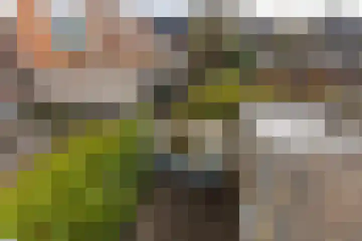 Baanstraat 2 Groningen thumbnail 29