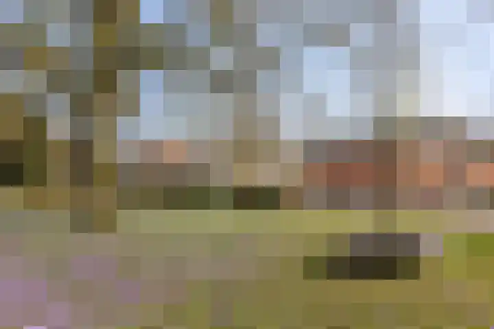 Baanstraat 2 Groningen thumbnail 32