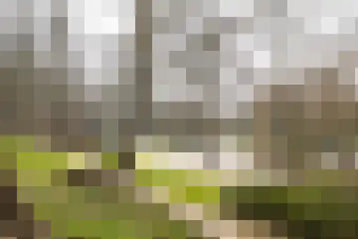 Baanstraat 2 Groningen thumbnail 33