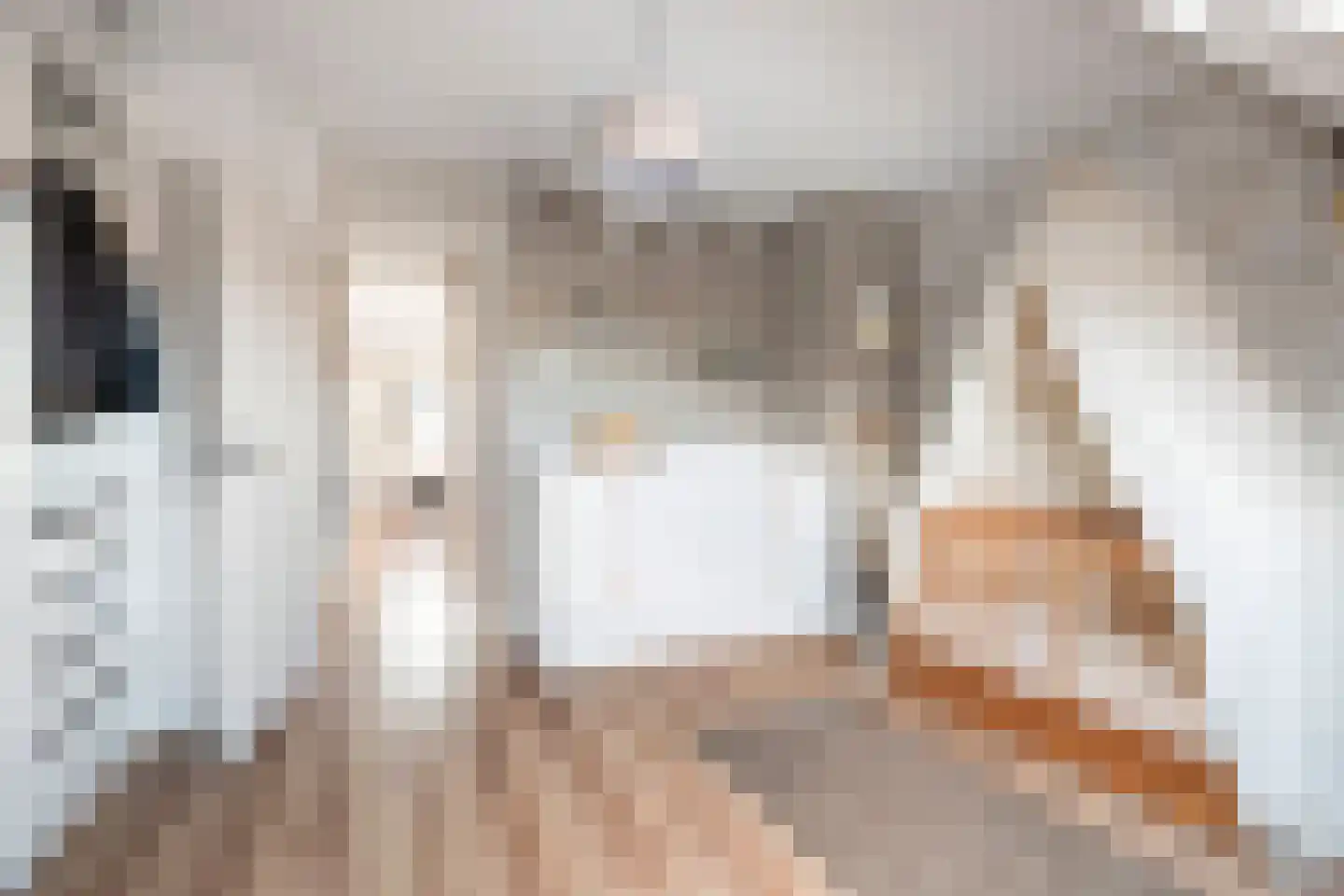 Baanstraat 20 Woerden thumbnail 36
