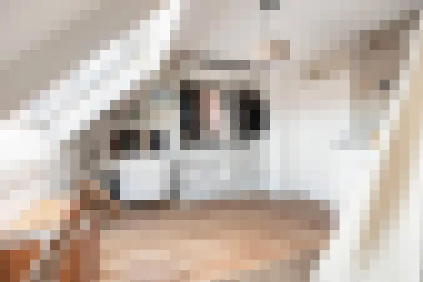 Baanstraat 20 Woerden thumbnail 38
