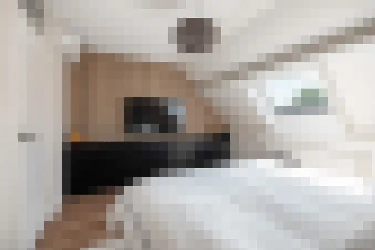 Baanstraat 20 Woerden thumbnail 41