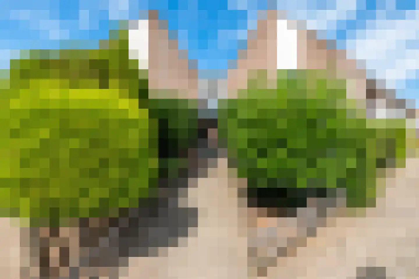 Baanstraat 20 Woerden thumbnail 6