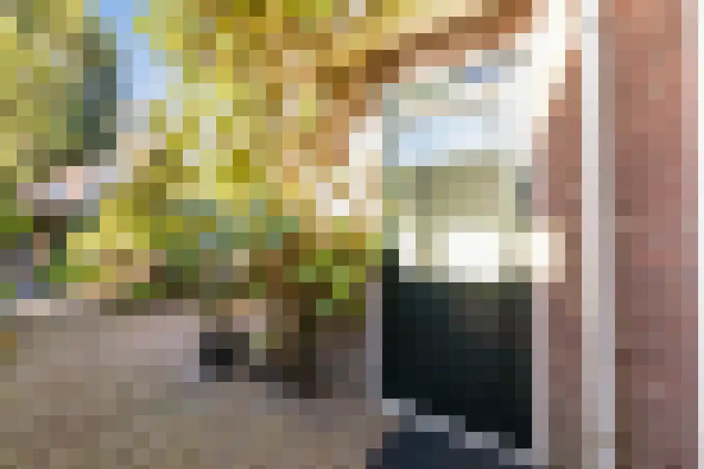 Baanstraat 23 Woerden thumbnail 19